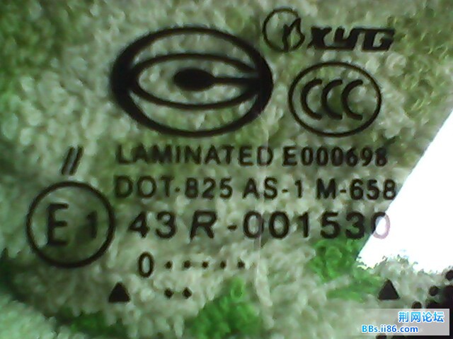 IMG0031A.jpg