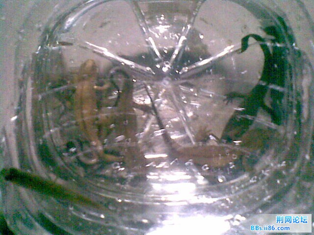 未命名2.jpg