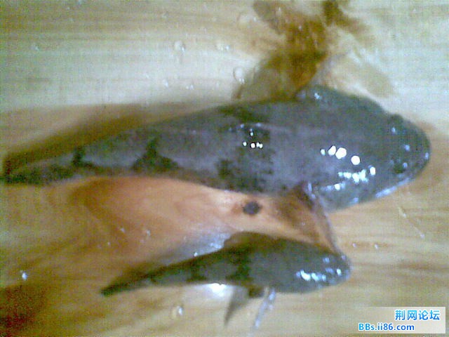 未命名1.jpg
