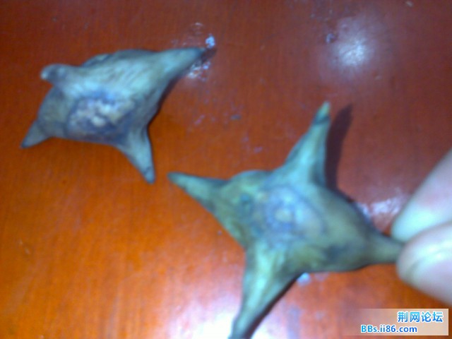 20100908278.jpg
