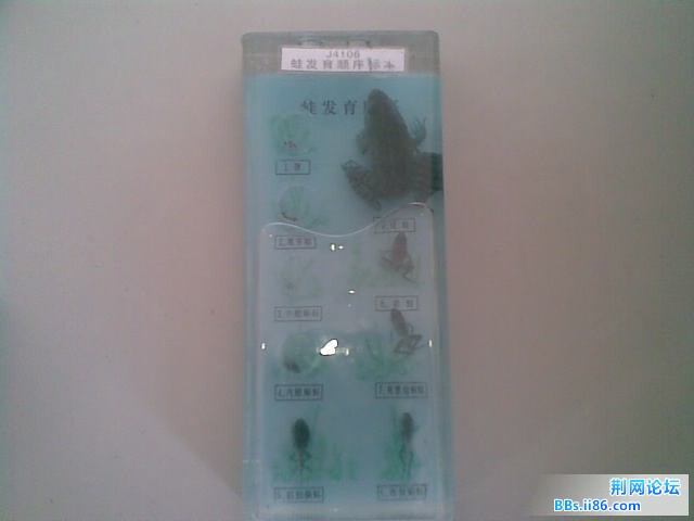 未命名3.jpg