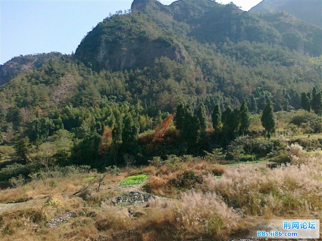 我家后面