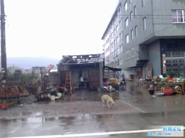 20101215619.jpg