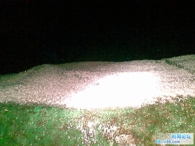 20101215(002).jpg
