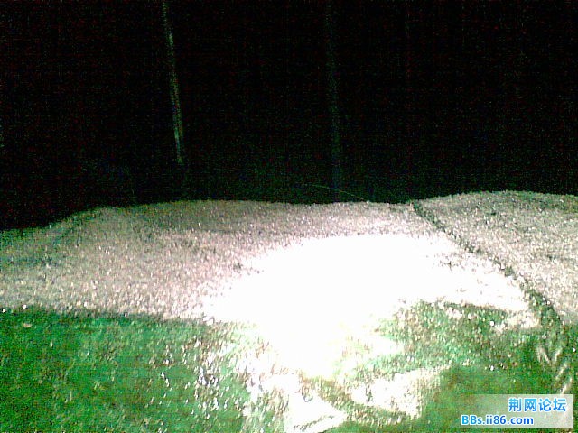 20101215(003).jpg