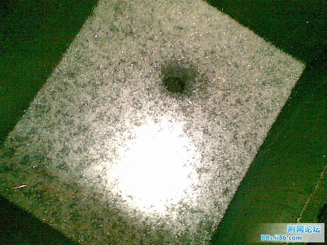 20101215(007).jpg