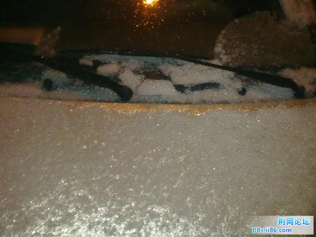 20101215630.JPG