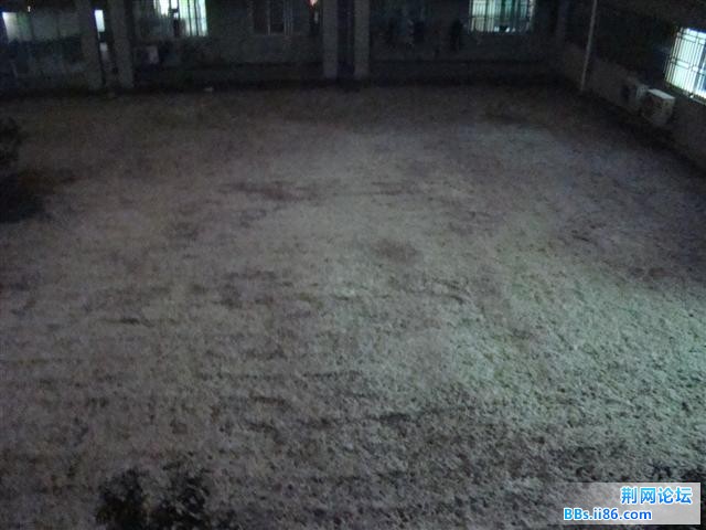 DSC06564.JPG