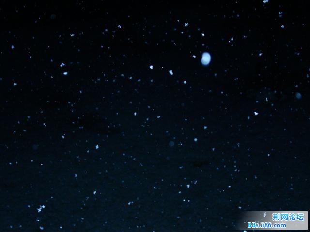 DSC06568.JPG