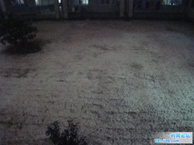 DSC06588.JPG