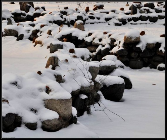 雪后 138.jpg