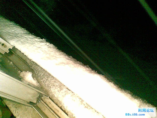 20101216.jpg