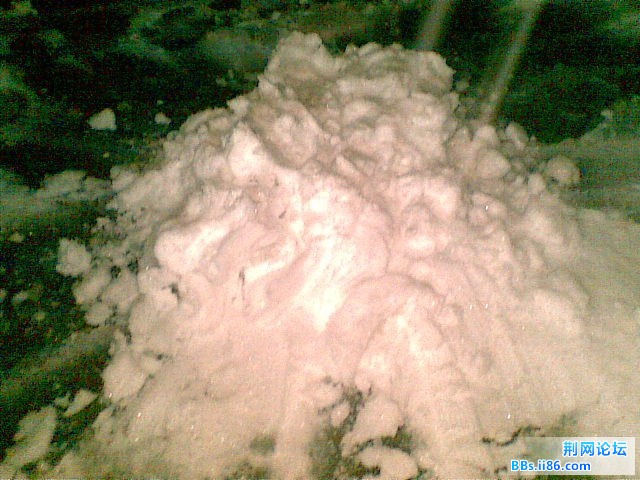 20101216(020).jpg