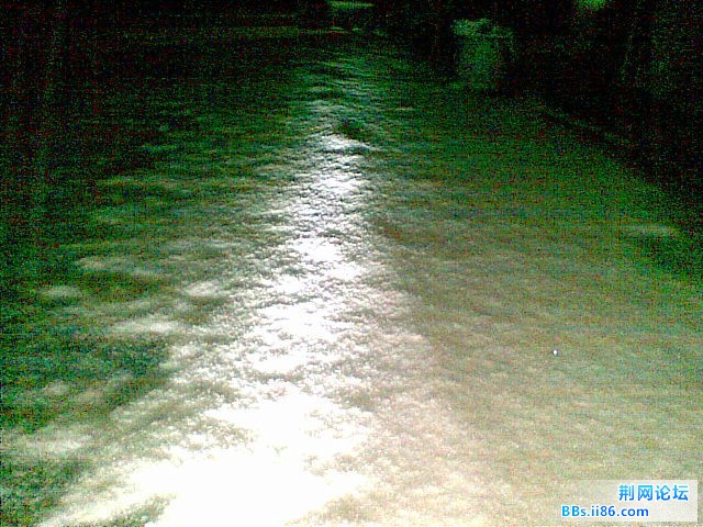 20101216(019).jpg