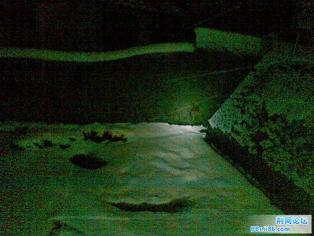 20101216(017).jpg