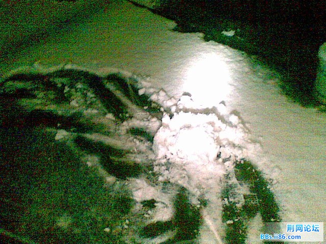20101216(008).jpg