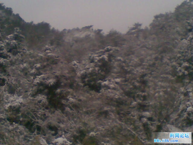 未命名2.jpg