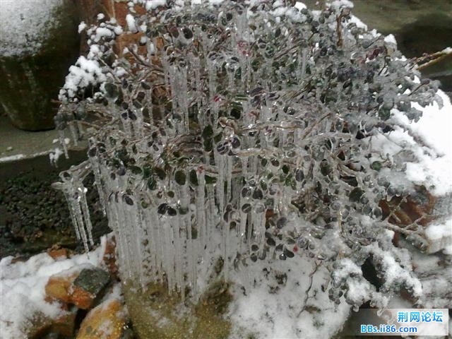 aaa20101216674.JPG