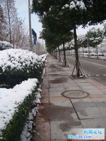 旋转 DSC06674 (小).JPG