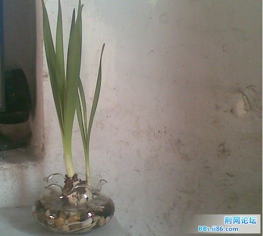 未命名1.jpg