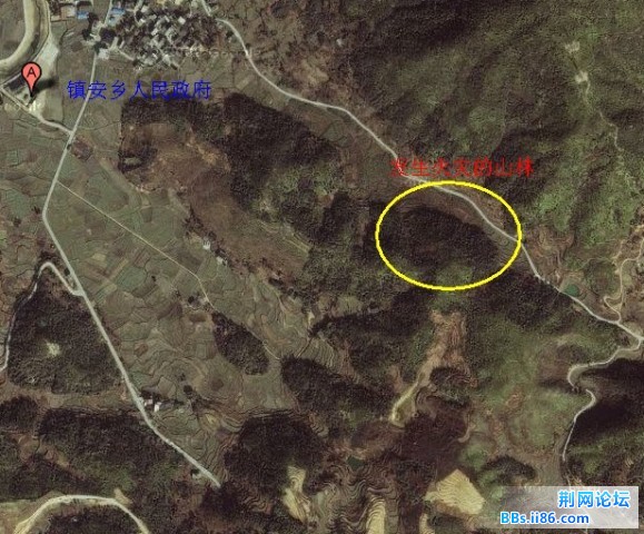 zhengan20110101.jpg