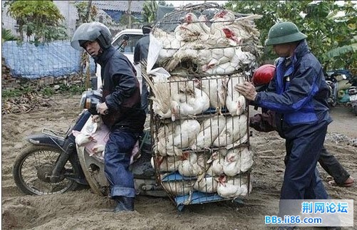 未命名5.jpg