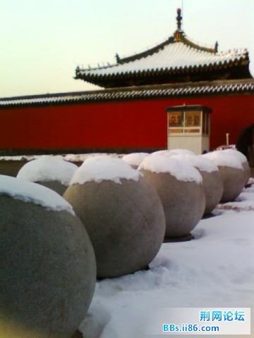 IMG0461A.jpg