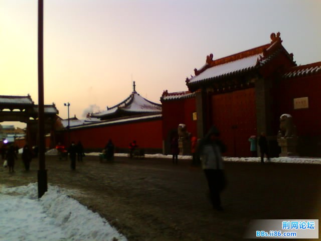 IMG0462A.jpg