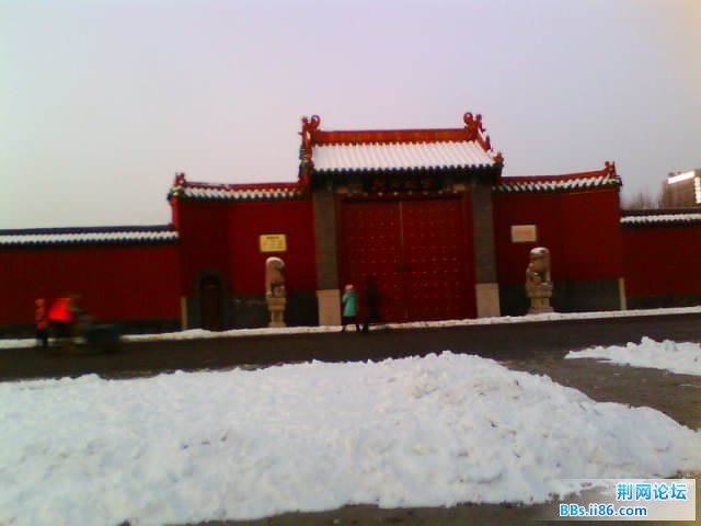 IMG0463A.jpg