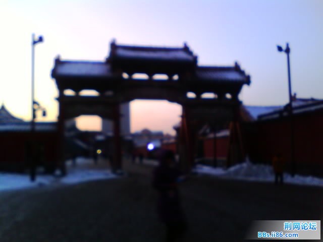 IMG0464A.jpg