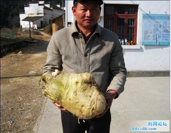 未命名1.jpg