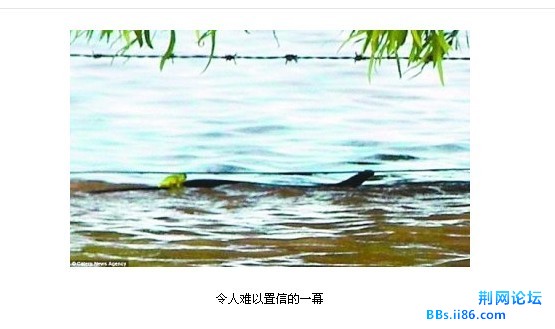 未命名1.jpg