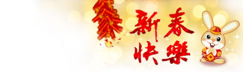 newyear2011.jpg