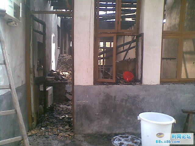 20110203(006).jpg