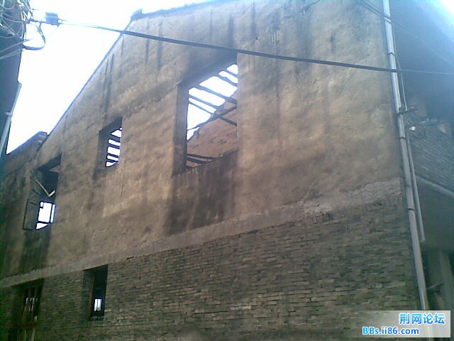 20110203(007).jpg