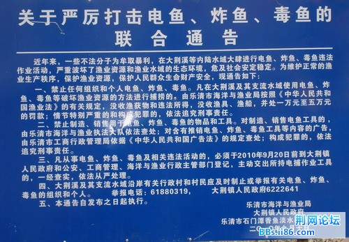 DSC03546.JPG