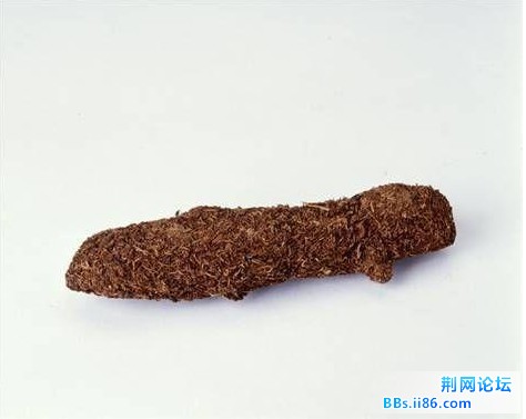 未命名5.jpg