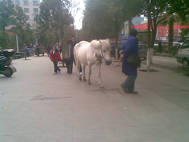 20110220.jpg