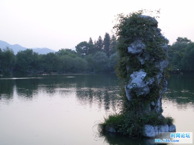 http_imgloadCAGD9PKL.jpg