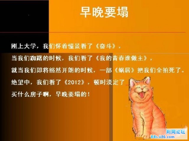 113.jpg