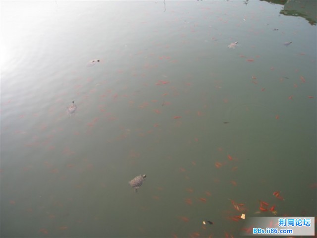 未命名8.jpg