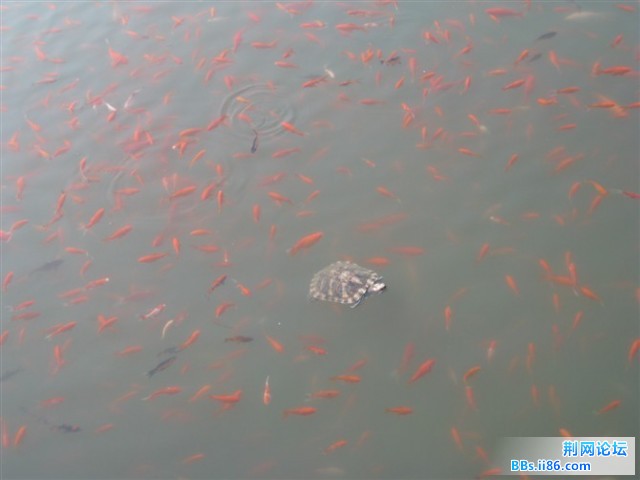 未命名9.jpg