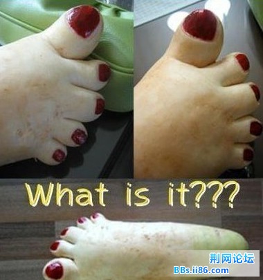 62037b5ajw6df86uy259tj.jpg