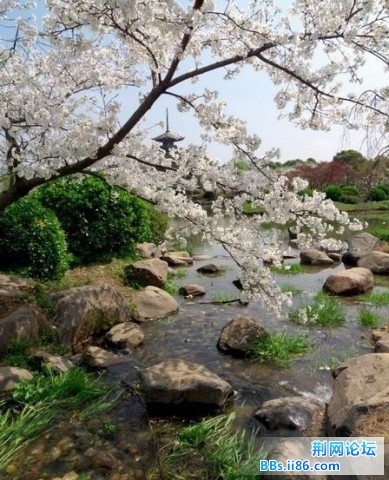 未命名.jpg