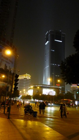 P1000156.jpg