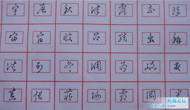 feng2.jpg