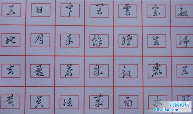 feng1.jpg