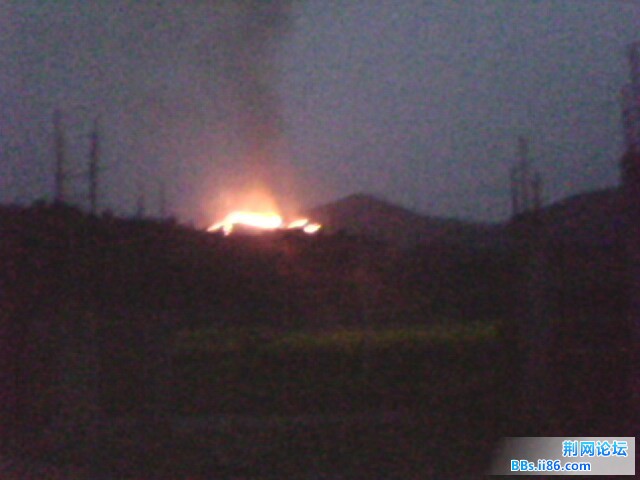 IMG1001A.jpg