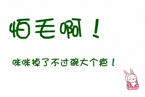 http_imgloadCA0IP89E.jpg