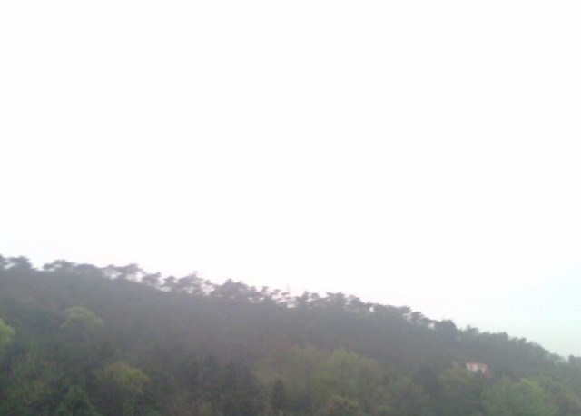 IMG0080A.jpg